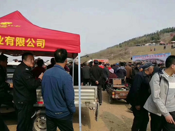 瀾圣威苦蕎啤酒廠家市場活動 瀾圣威苦蕎啤酒廠家市場活動